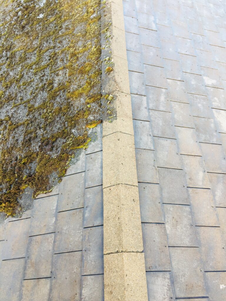 An example of moss removal from a roof, by Home Statements