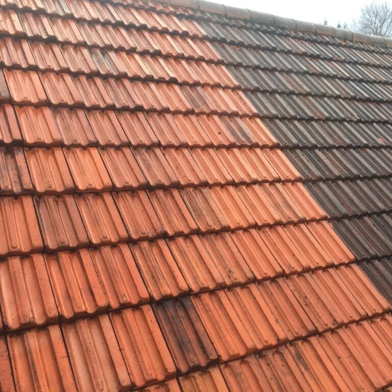 An example of a roof clean, by Home Statements