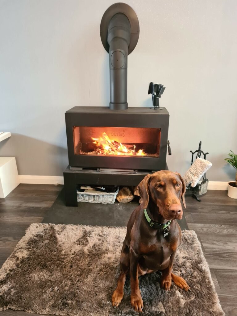 Image of log burner in situ