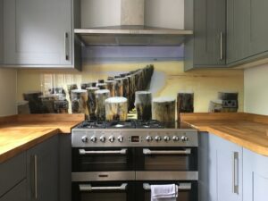 An example of a digital print glass kitchen splashback, Home Statements